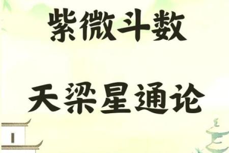 紫薇斗数好学吗