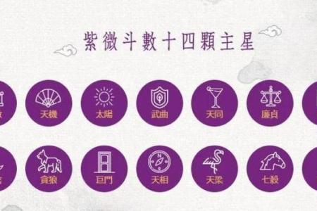 紫薇斗数各星代表意象表格