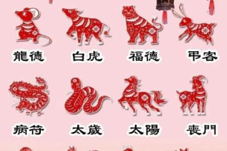 八四年属鼠2024年的吉凶方位