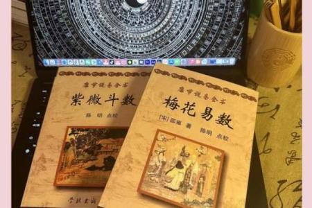 梅花易数算命入门书籍