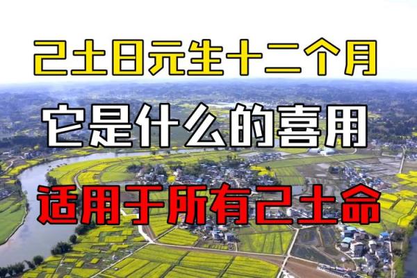 八字喜用神为土适合什么行业 谁是贵人