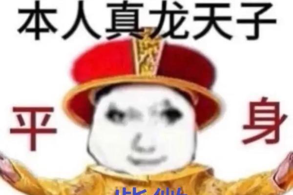 我是紫薇斗数