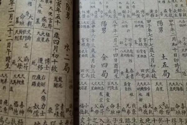 我是紫薇斗数