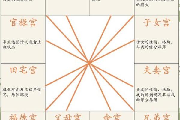 十二生肖紫薇斗数