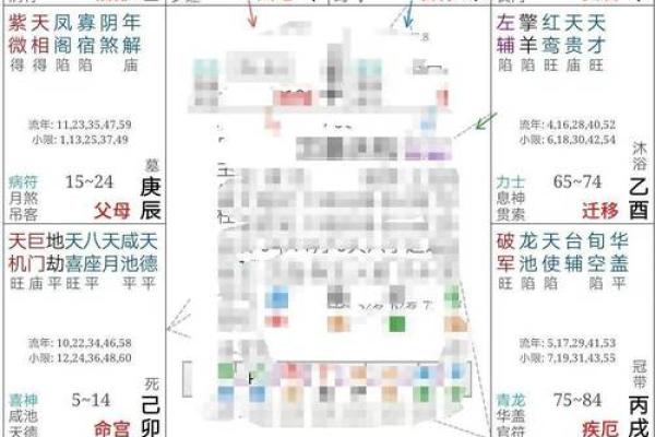 紫薇斗数命宫酉宫