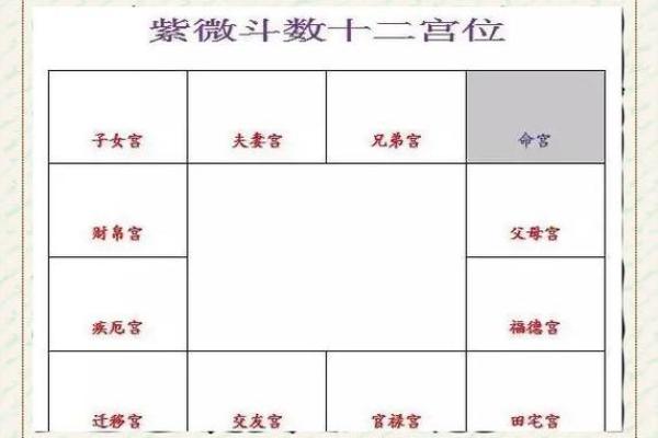 紫薇斗数命宫巨门