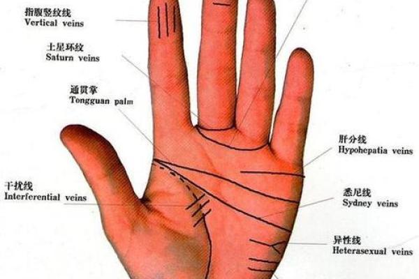 手纹算命图解 财富手纹解读