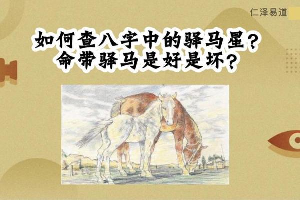 女命八字驿马