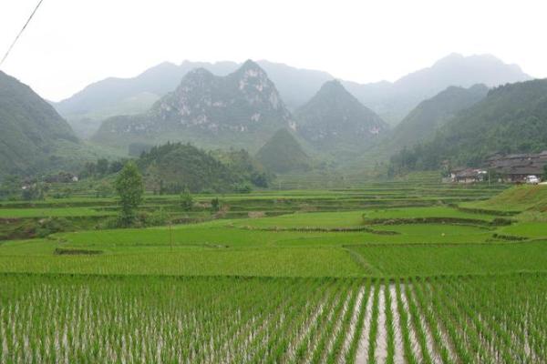 风水宝地，什么样的住宅风水好