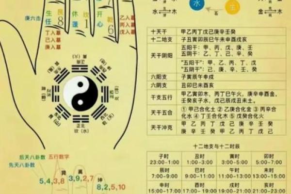 紫薇斗数掌中决