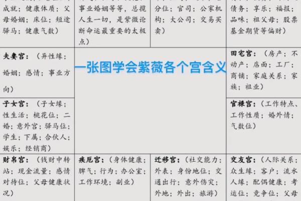 紫薇斗数书籍详解