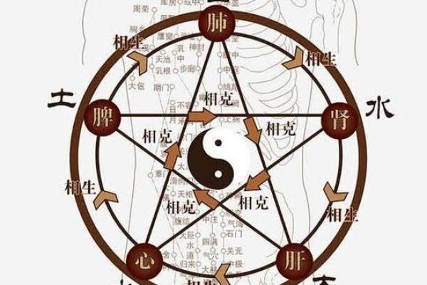八字人体
