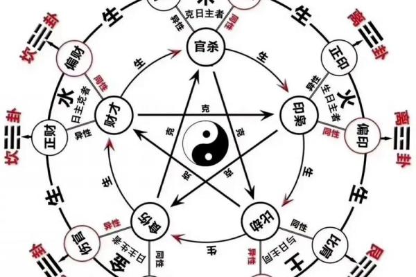 八字人体