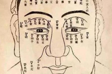 三角眉毛的面相算命图解