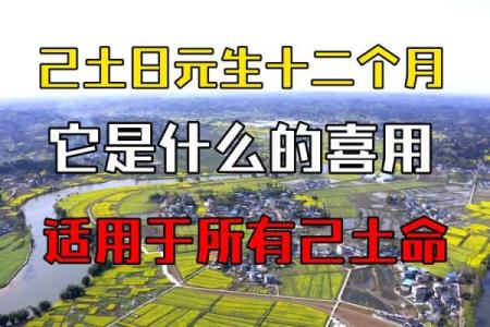 八字喜用神为土适合什么行业 谁是贵人