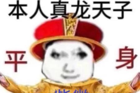 我是紫薇斗数