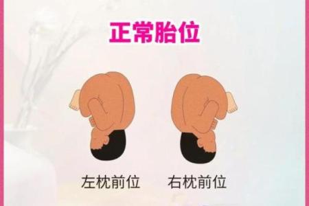 2024年农历十月初四日子可以安床吗？胎神方位在哪？