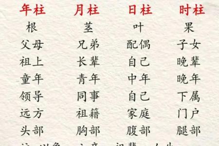 八字看子时,子时去世