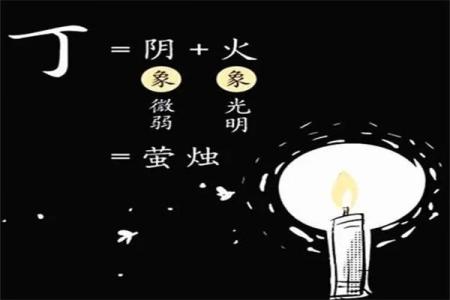 八字-丁火体象