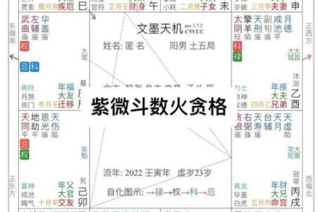 紫薇斗数大运音频