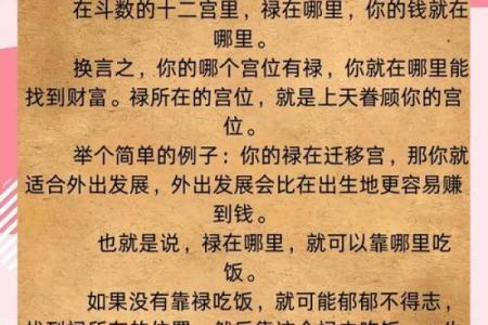 紫薇斗数利权的意思