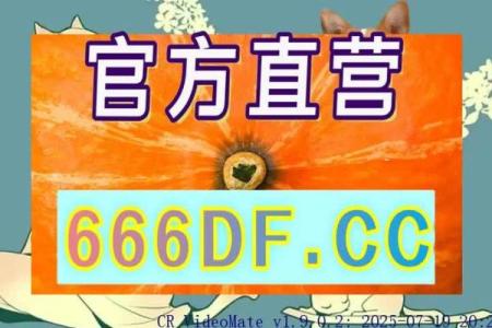 结婚的吉日哪天最好 结婚哪一天最好？