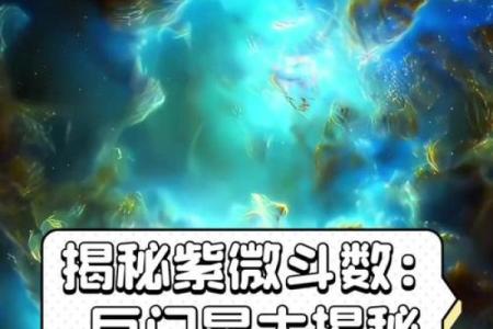 紫薇斗数命宫巨门