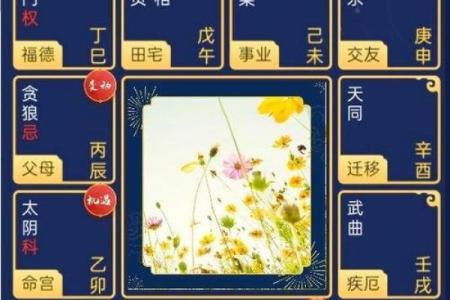 紫微斗数紫薇星