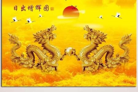 挂龙画的风水