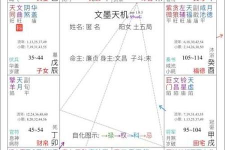 得禄紫微斗数 得禄啥意思？
