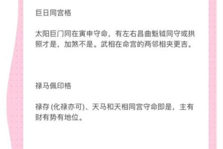 紫薇斗数案例解析