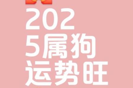 属狗农历三月十一算命