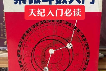 倪海厦的紫薇斗数跟谁学的