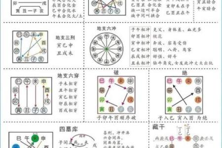 八字已卯