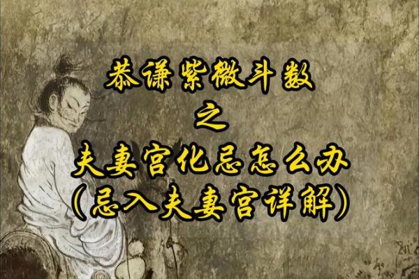 紫薇斗数化忌两个忌