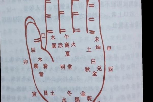 罕见的掌纹手相算命和图解