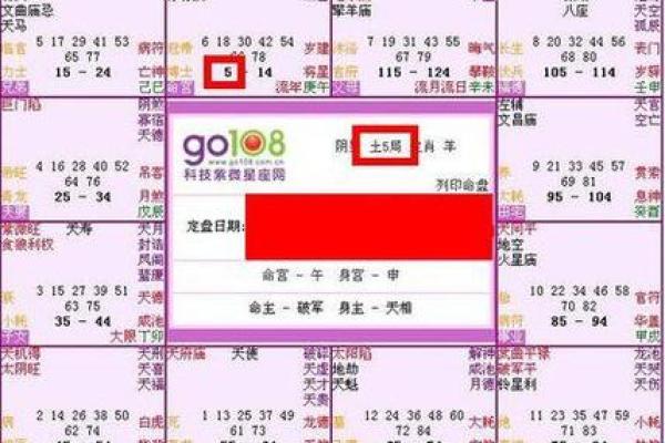 紫薇斗数交运是什么意思