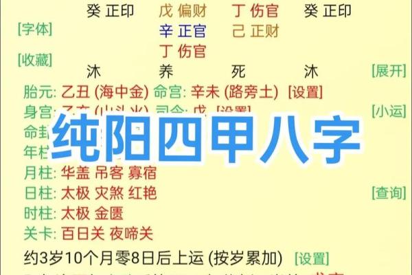 纯阳八字百年难遇 纯阳八字何以百年难遇
