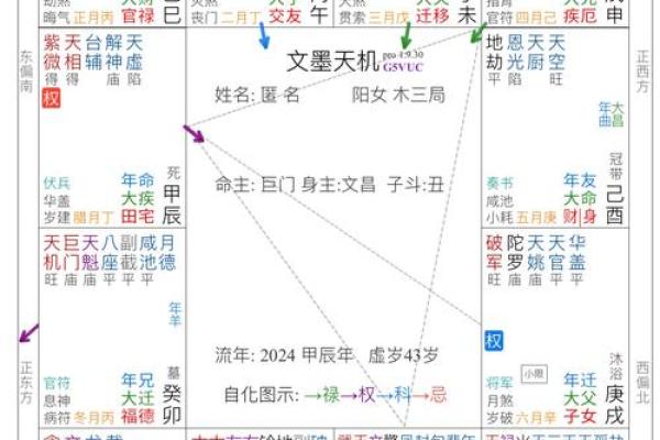文曲紫薇斗数