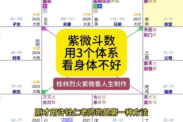在线看紫薇斗数