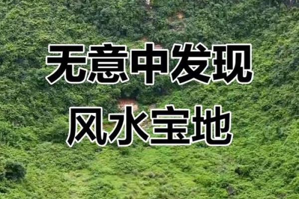 风水大地_风水宝地的意思