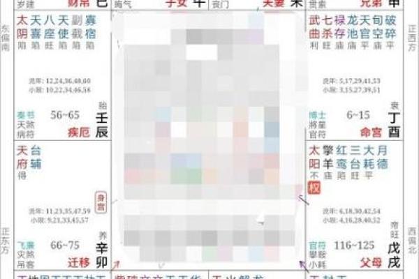 紫薇斗数真实案例知乎