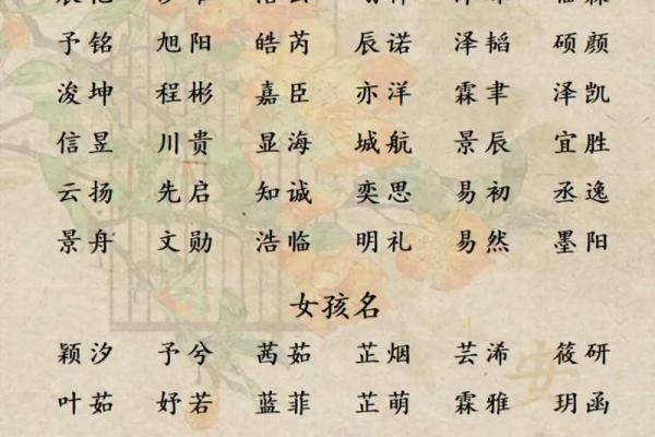 八字起名网官网,免费取名网生辰八字起名大全