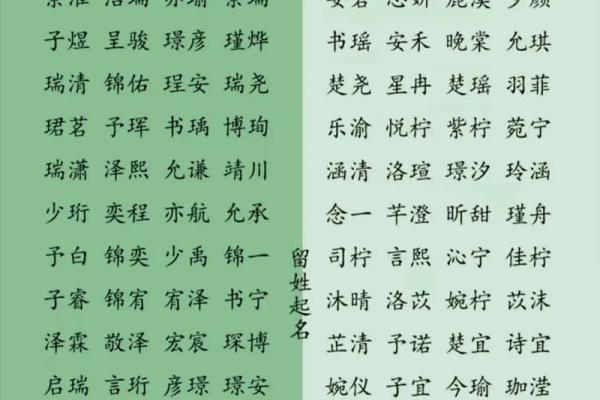 起名网生辰八字打分