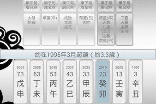 八字排盘软件开发