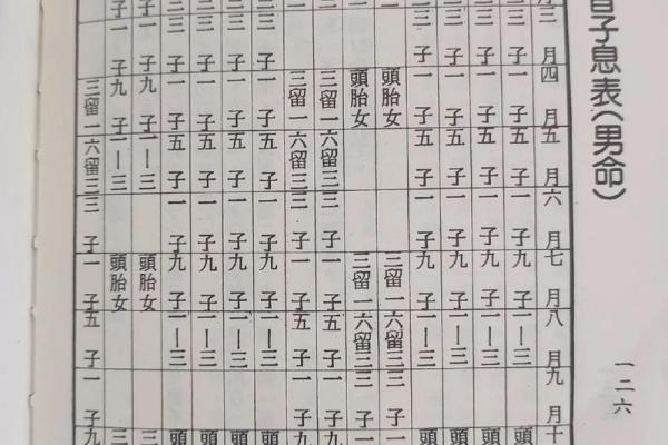 纳音算命的书