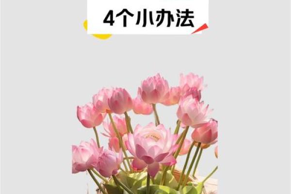 旺事业的风水，布置得当有助益