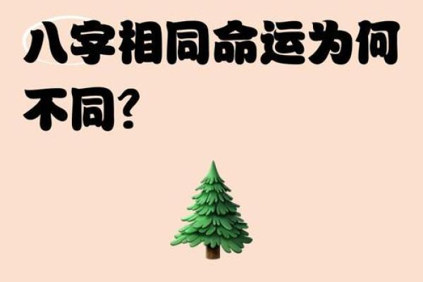 相同八字