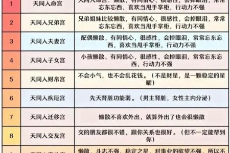 左右相会紫薇斗数