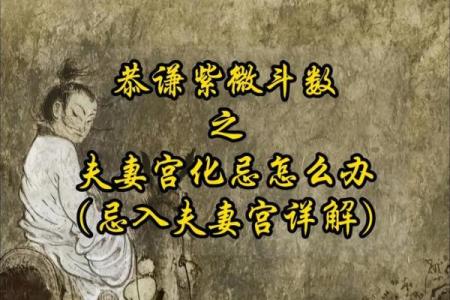 紫薇斗数化忌两个忌